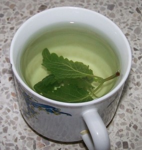 Citronmelisse te