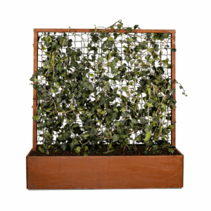 Land Modern Plantekasse med espalier i Corten - 140 cm